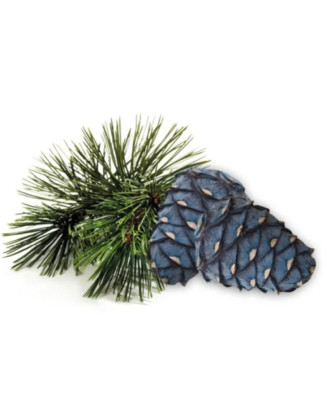 Saunaduft - Harvia, Arolla Pine, 1 l SAUNAAROMETER OG KROPSPLEJE