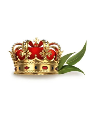 Saunaduft - Harvia, Royal Eucament, 1 l SAUNAAROMETER OG KROPSPLEJE